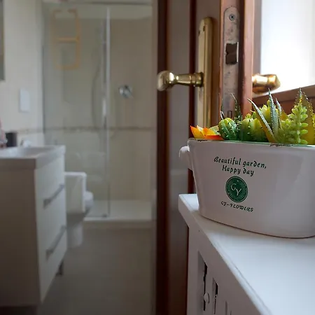 I Like Venice * メストレ